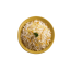 Biryani Plain