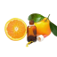 Sweet Orange no. 1